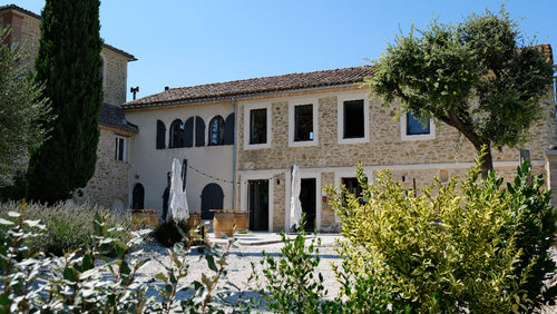 vinyard