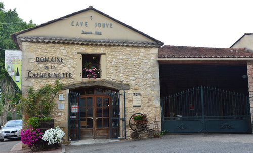 vinyard