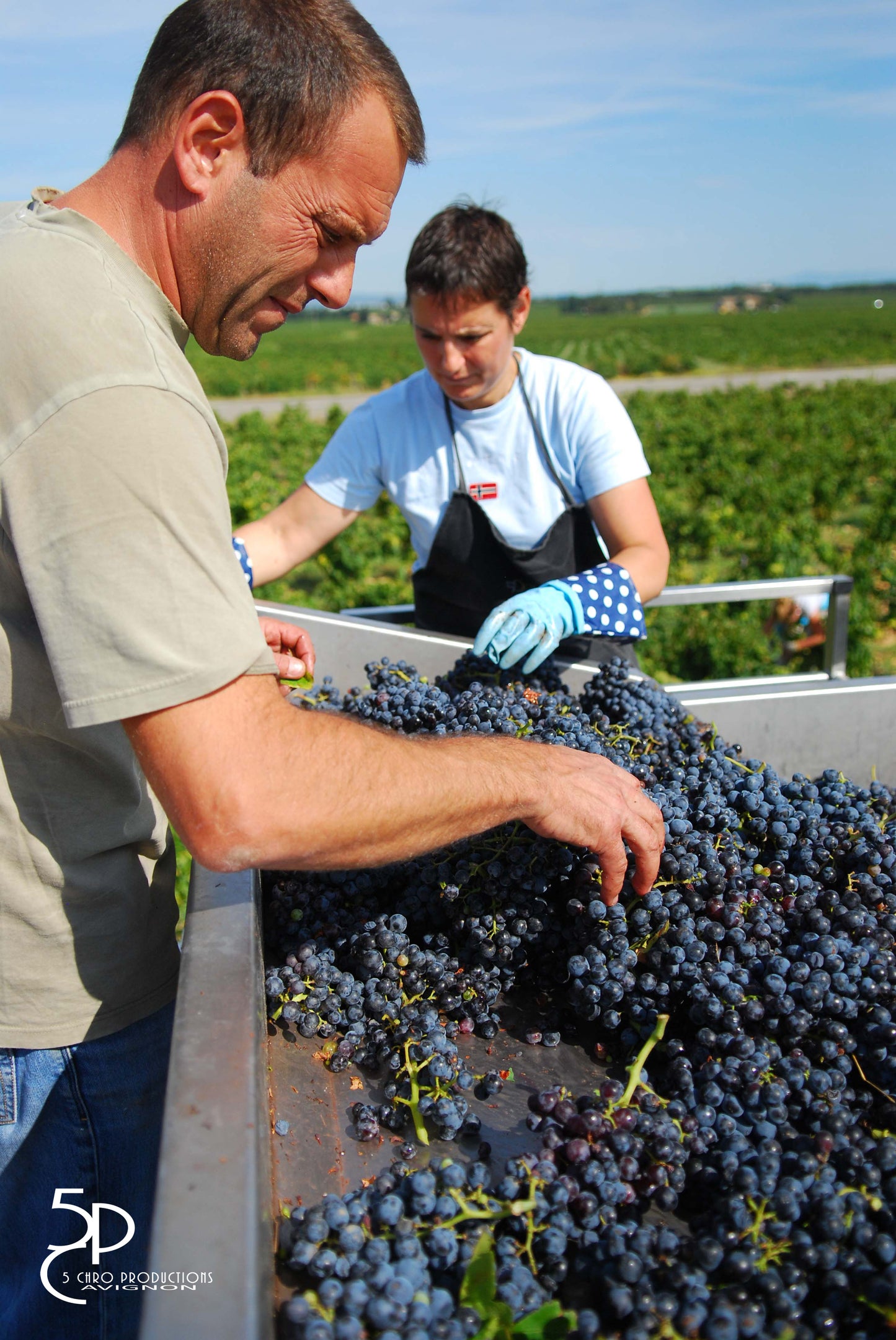 Domaine de la Fagotière Cuvée M