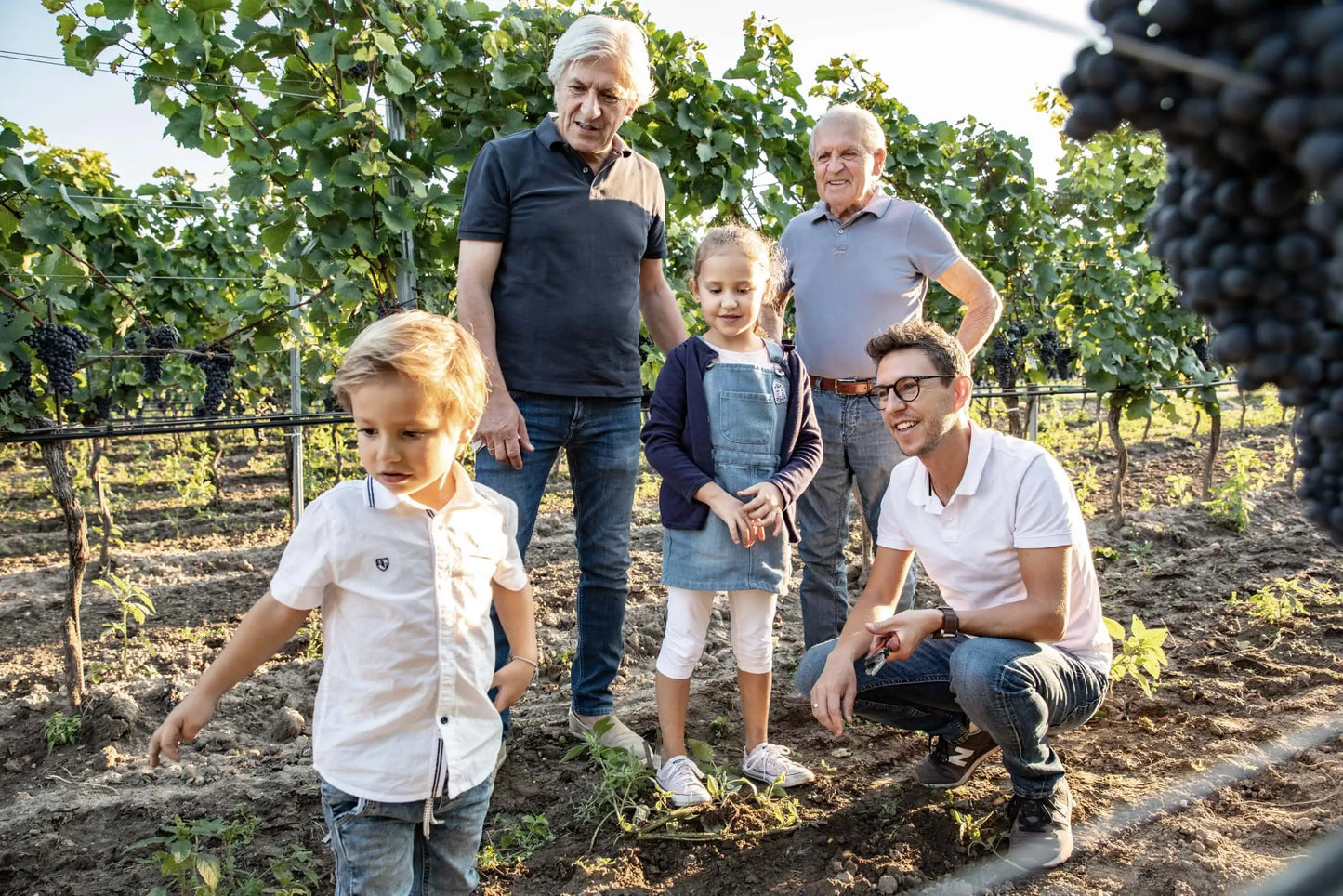 Salzl Cabernet Sauvignon Reserve
