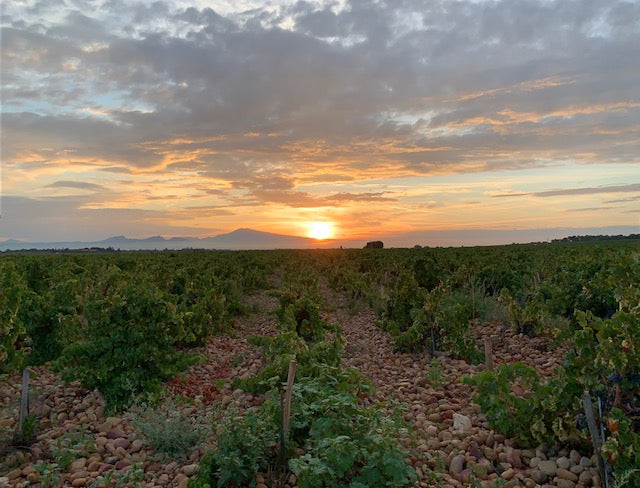 Domaine de la Fagotière Cuvée M