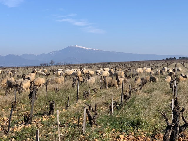 Domaine de la Fagotière Côtes-du-Rhône