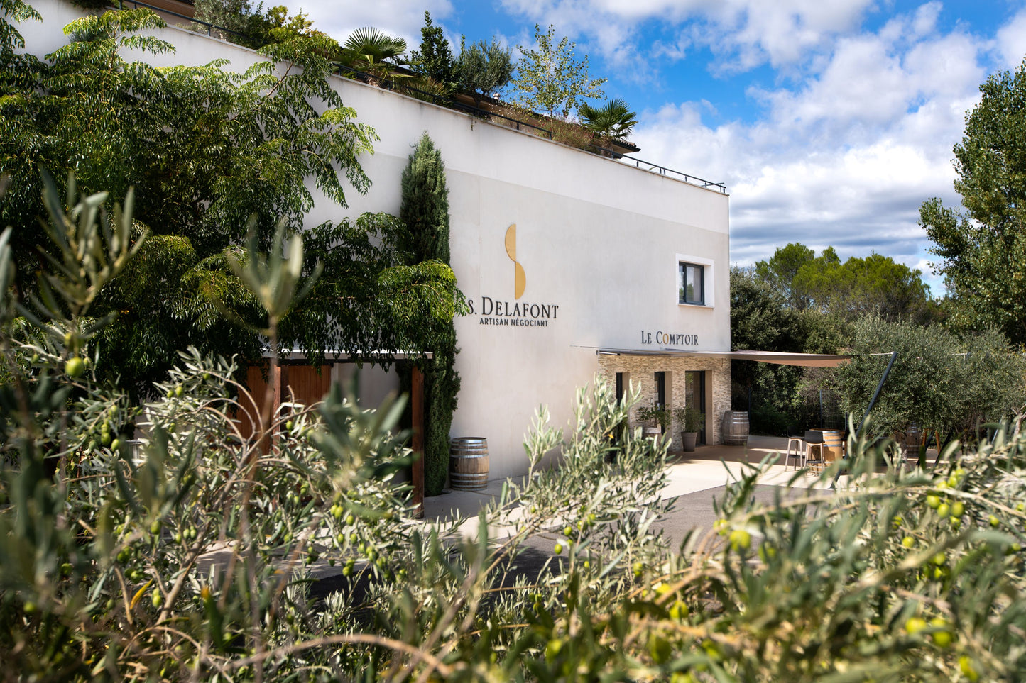 Maison Delafont Malbec 2020