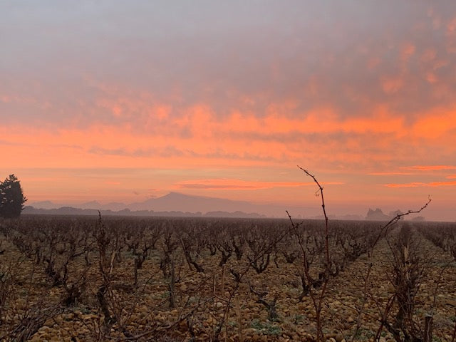 Domaine de la Fagotière Châteauneuf-du-Pape